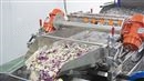 供應沙拉凈菜生產線公司