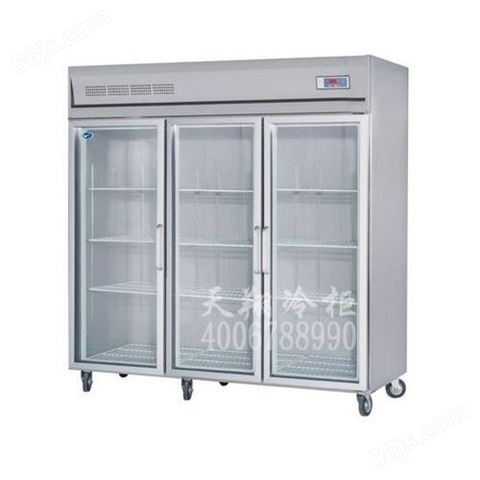 106厨房立式冷柜