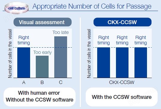 Appropriate Number of Cells for Passage