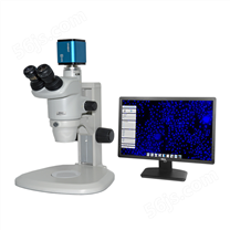 尼康视频显微镜SMZ745T+VGQ1080P