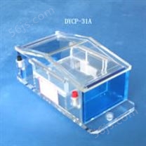 DYCP-31A微琼脂糖电泳仪
