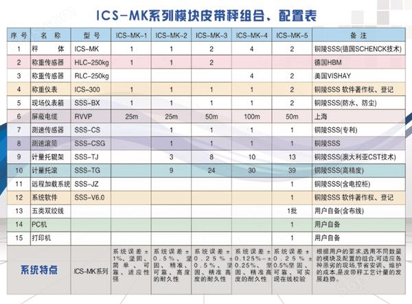 ICS-MK系列电子皮带秤