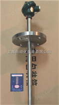 WZP-331装配式热电阻上海自动化仪表三厂