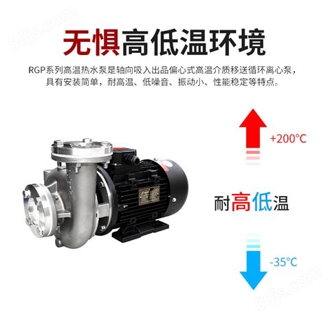 高温导热油泵 高低温循环泵热油泵 热水泵 导热油泵