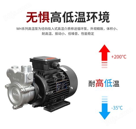 高温导热油泵 高低温循环泵热油泵 热水泵 导热油泵