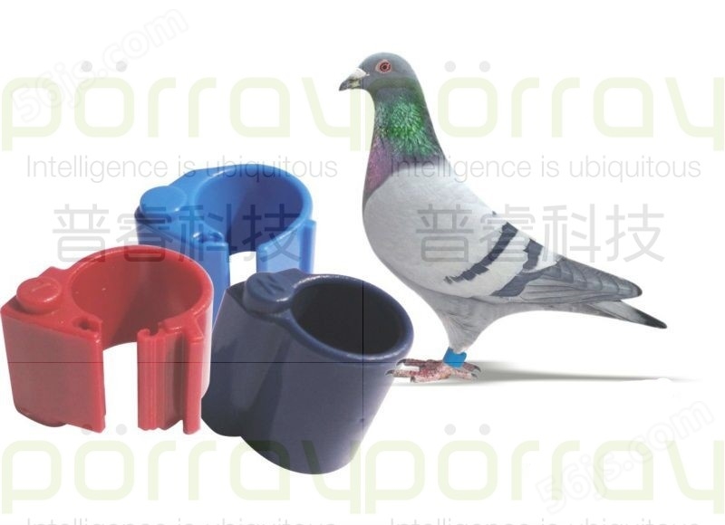RFID动物鸽子脚环-RFID鸡脚环-RFID超高频脚环-电子标签脚环