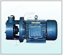 1W2.5-12型旋涡泵