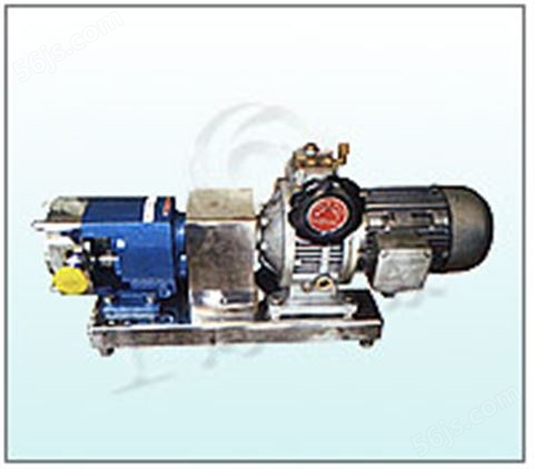 LQ3A型不锈钢转子泵