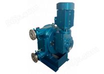 YY75A-立式软管泵