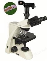 BM-40系列     生物显微镜