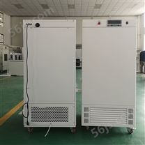MJX-250霉菌培养箱（液晶屏幕控制器）