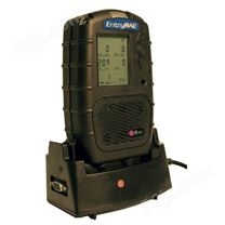 PGM-3000泵吸式五种气体检测仪