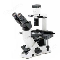 CKX41奥林巴斯倒置生物显微镜