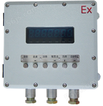Ex-XK3101C1型防爆电子称重仪表