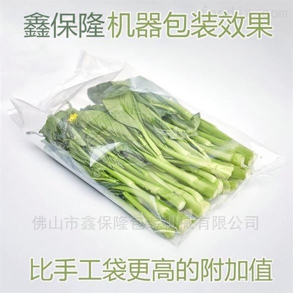 蔬菜多功能枕式包装机批发