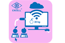 Excell Scale-IoT智能秤重管理系统-电脑版WDCA
